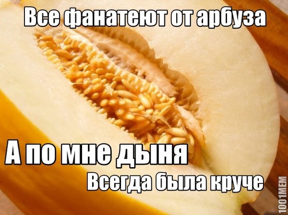 Дынные войска