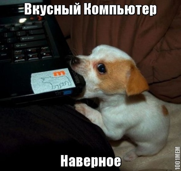 Омномном