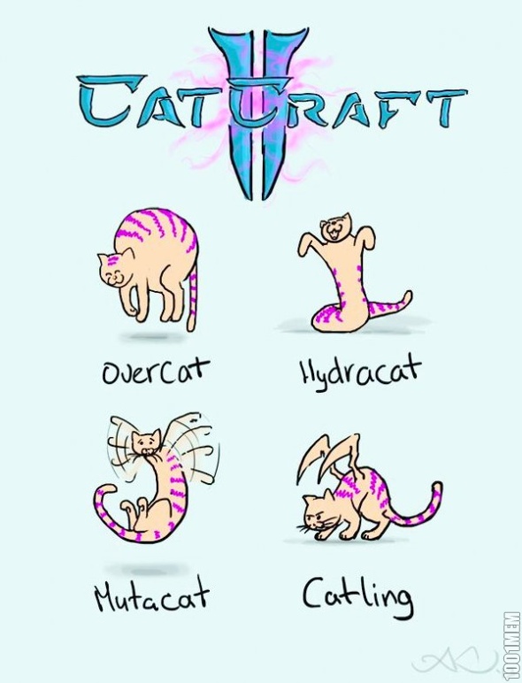 CatCraft