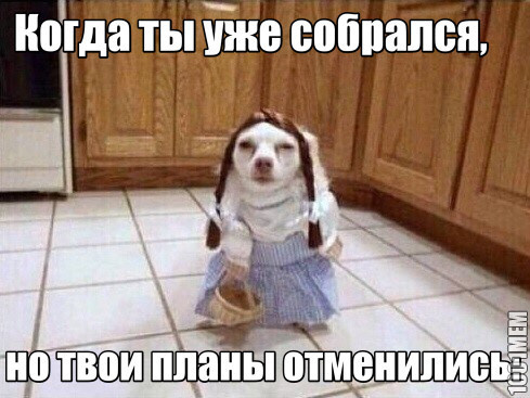 Когда ты уже собрался