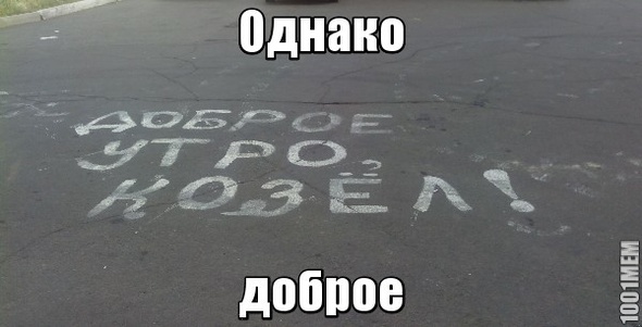 Доброе утро, козёл!