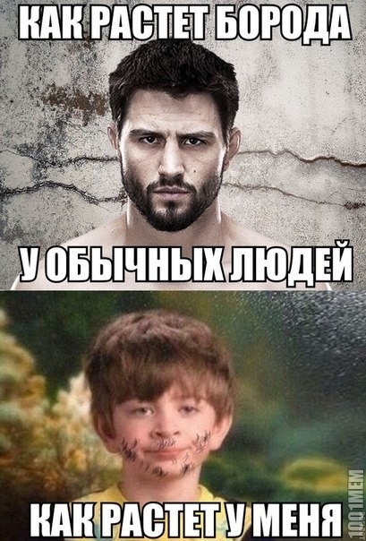 жиза