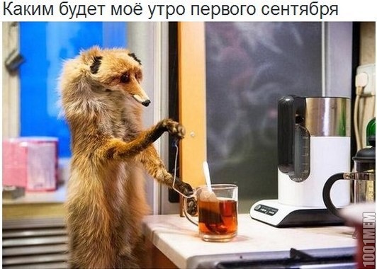 Я утром первое сентября