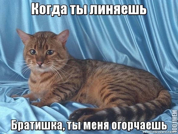 Котелло