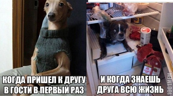 Дружба