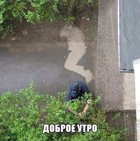 Доброе утро