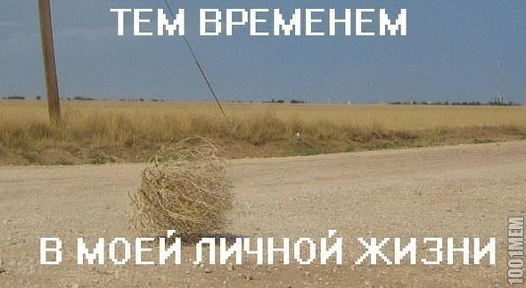 Шутите?Её просто нет