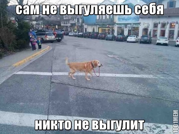 Выгуливание себя