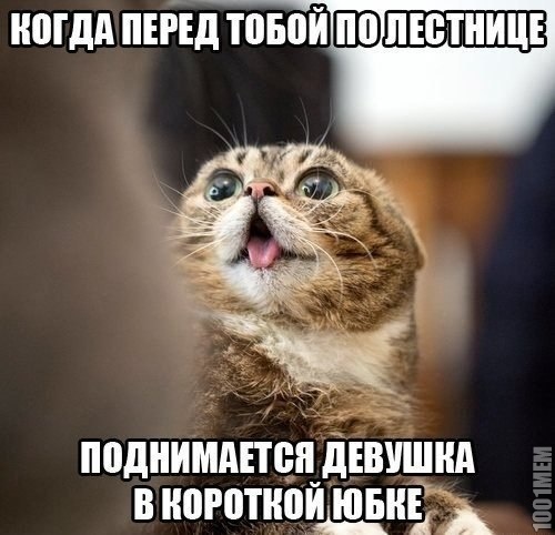 Классно же