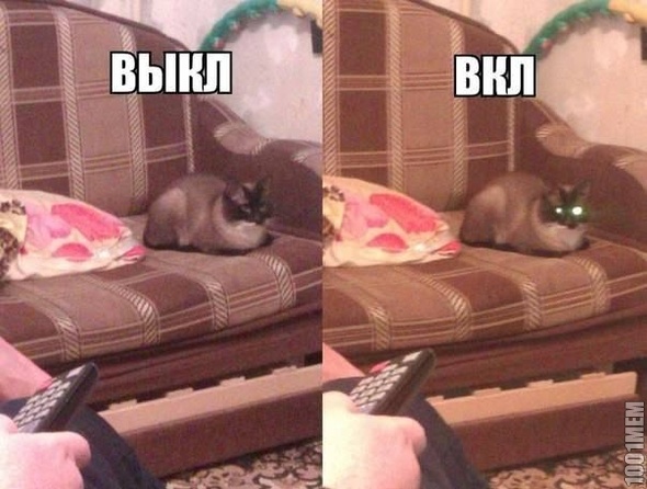 Котэ