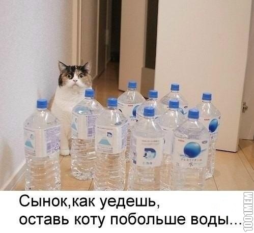 сам откроет