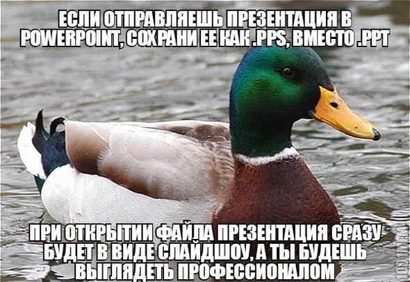 Как сделать, чтобы люди думали что вы Билл Гейтс