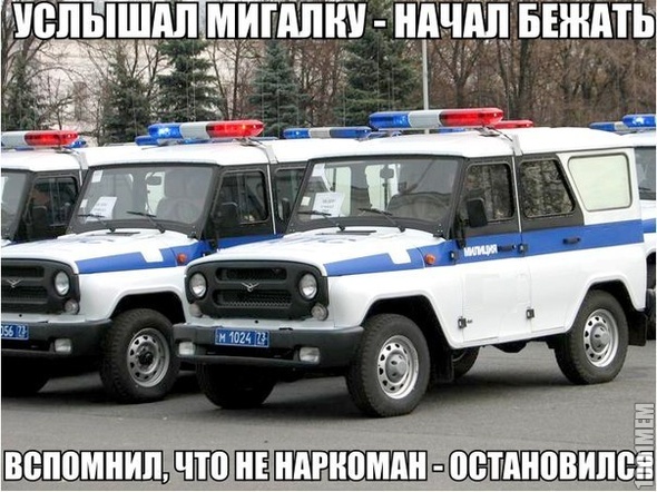 Жиза