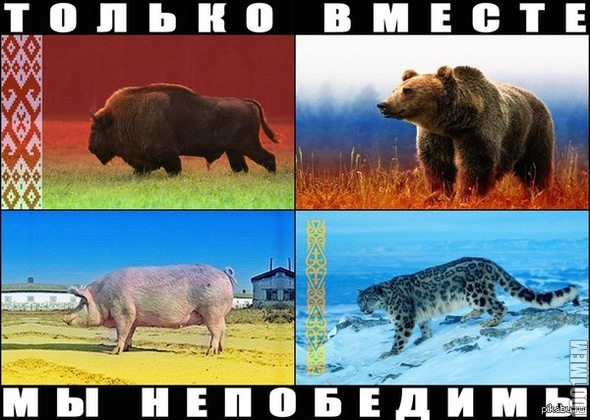 Это ДА!