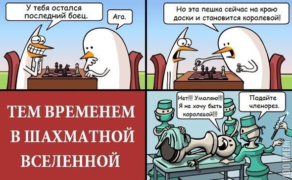 вся правда о шахматах