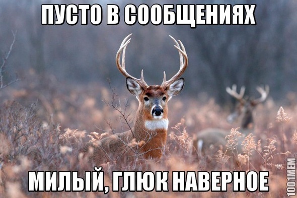 Наивный олень