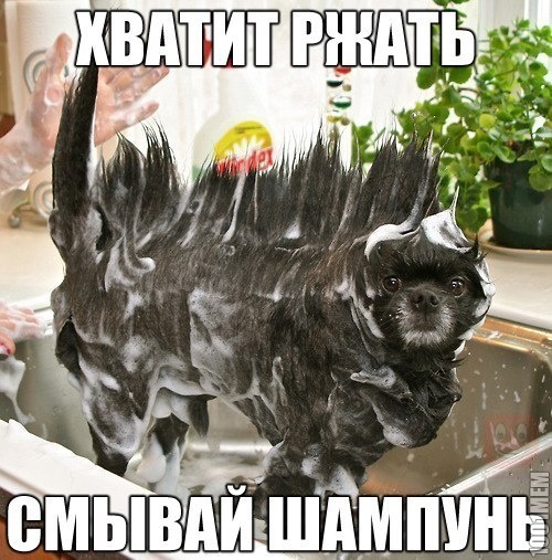 Хватит ржать