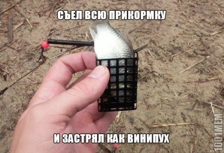 Винни пух