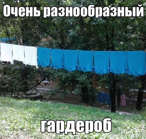 что же выбрать?