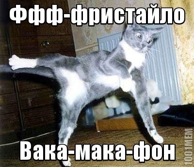 Танцующий котейка))