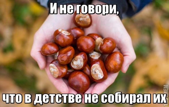 Коллекционирование