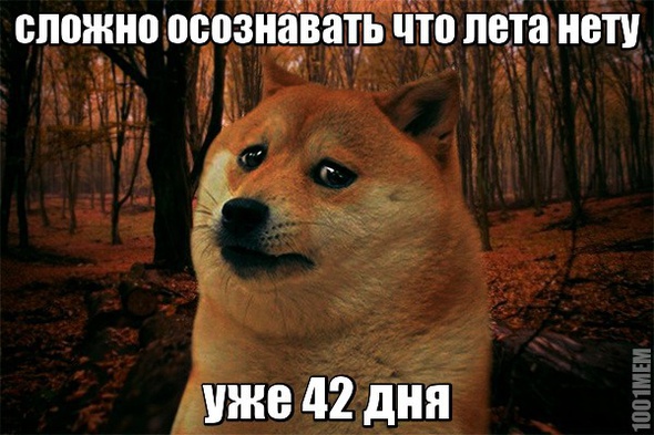 дни