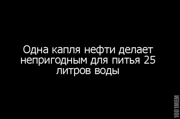 факт