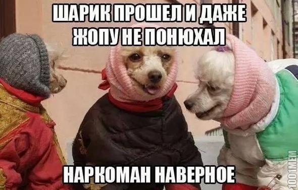 ох уж ети старушки :D