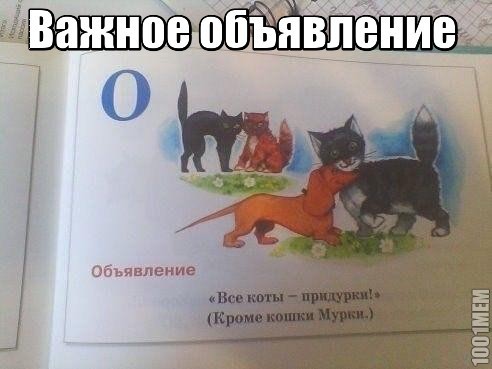 Важное объявление