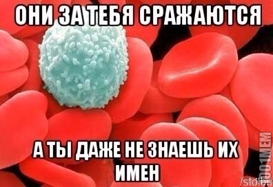 Имя им лейкоциты