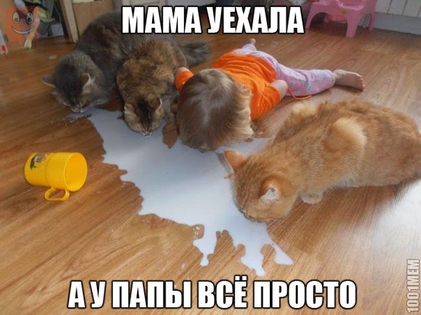 все просто