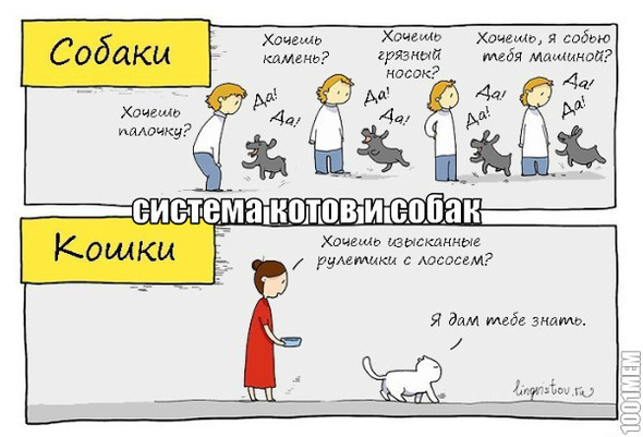 система котов и собак