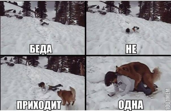 Что есть,то есть