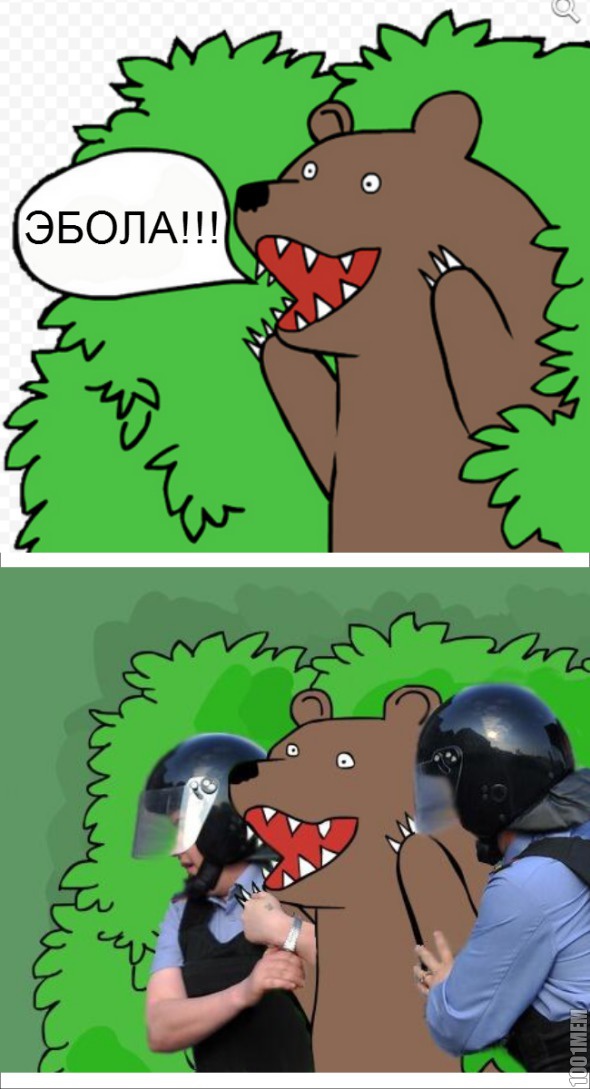 Медведь и Эбола