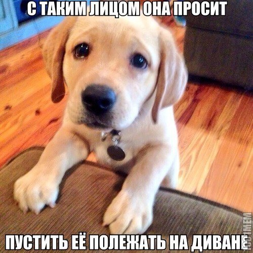 как не пускать:)?