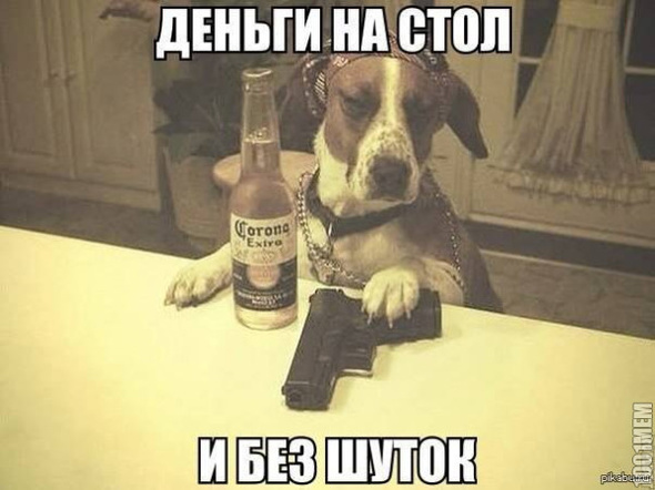 полегче с этим псом