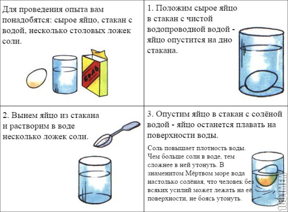 Научи яйцо плавать