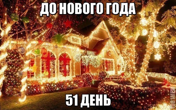 ДО нового года 51 день