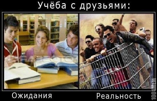 Безбашенная учёба