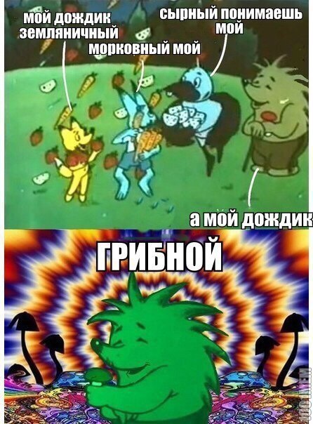 Грибной дождь