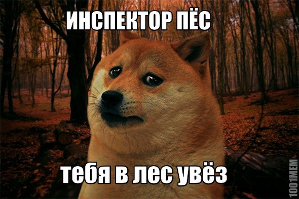 пёс