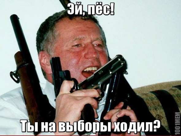 Выборы