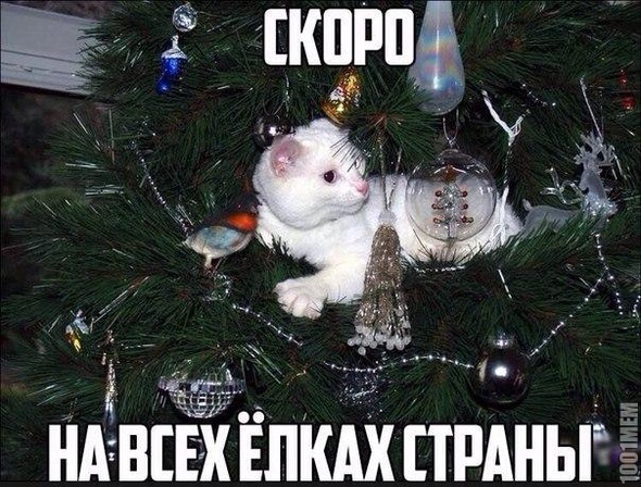 Новый год)