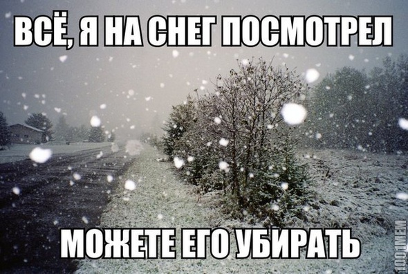 снег