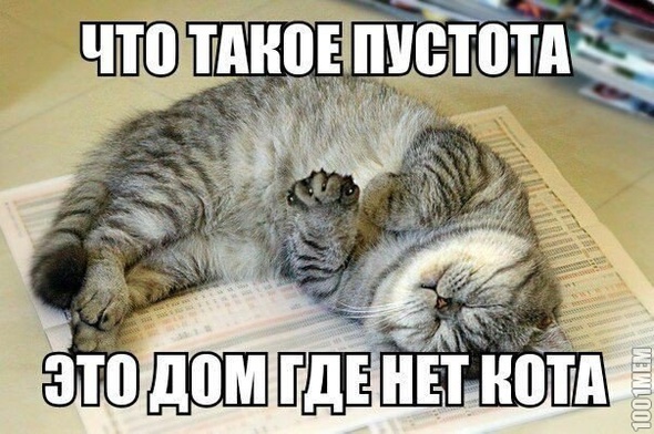 Дом без кота