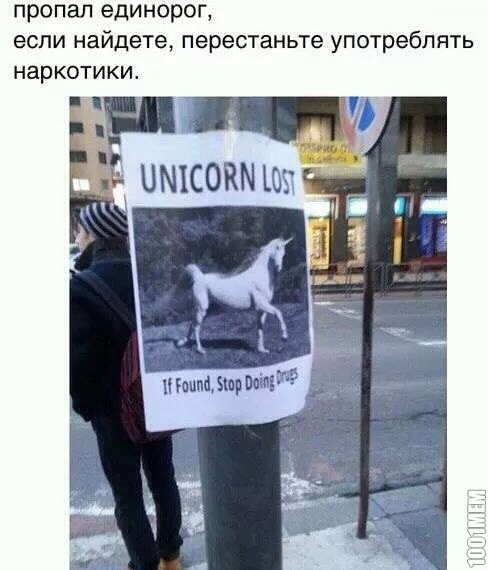 СРОЧНО!!! ПРОПАЖА!