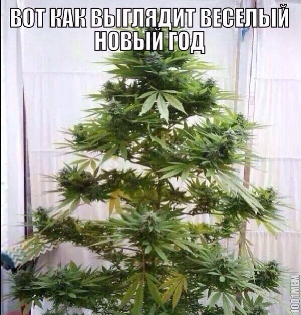 весёлый нг