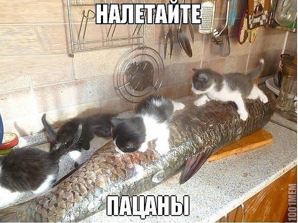 Налетаем)