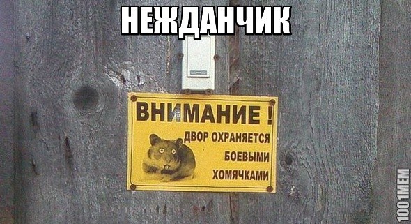 неЖДАННО