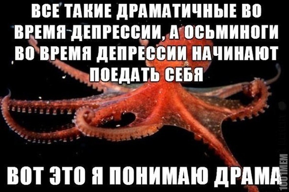 Осьминожьи проблемы